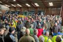 The packed out crowd ahead of the dispersal auction sale.