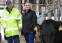 Farmer hopes to sell charity herd for £100,000