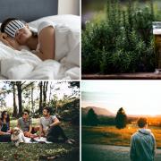 The nation's top 50 'simple pleasures' in life revealed - the full list. (Canva)