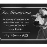 The plaque Peta wants to place at Gobowen roundabout on the A5.
