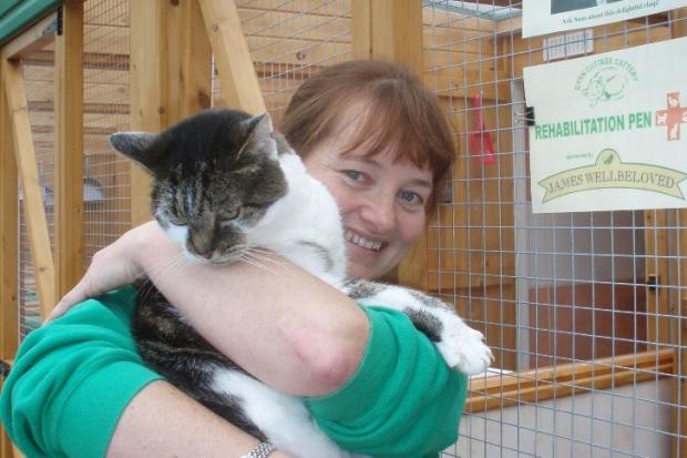 Samantha Davies, who owns a cattery in Selattyn