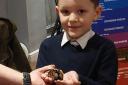Samuel Barr-Ellis, 7, holds a tarantula.
