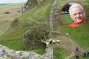 Rob McBride 'devastated' by Sycamore Gap tree incident