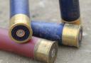 File image of shotgun cartridges Picture: PIXABAY