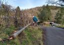Bwlchyddar resident Colin Hargis with the collapsed telegraph pole