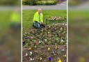 Brian Barnfield helping out with In Bloom. Pic: Oswestry Town Council.