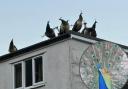 Main image of peacocks on a rooftop in Glyn Ceiriog / Inset of a male peacock in the village