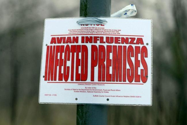 A bird flu sign