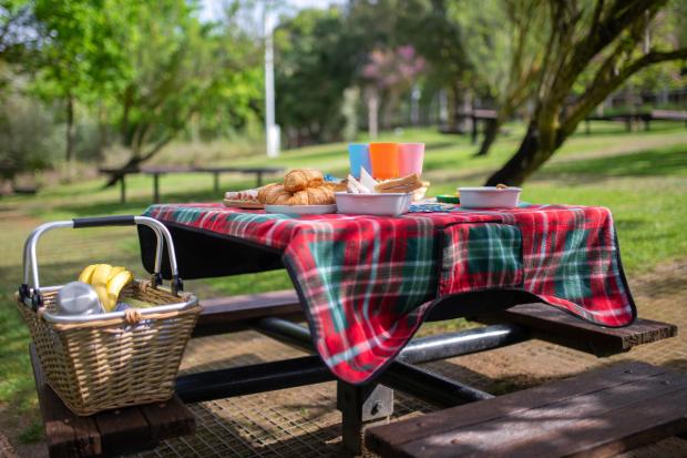 Border Counties Advertizer: A picnic laid out on a bench. Credit: Canva