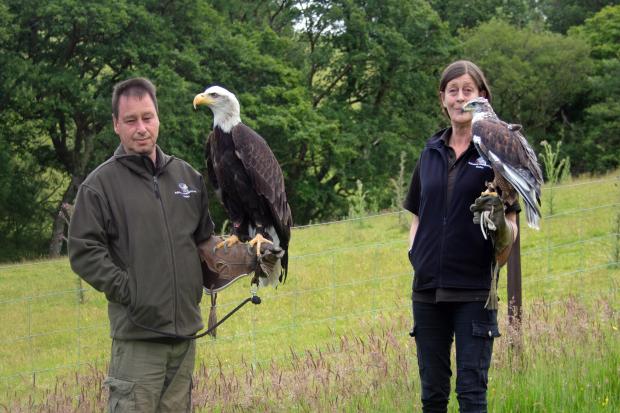 Barry Macdonald and Luce Green with two of their birds of prey.