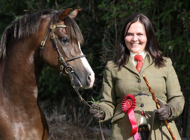 Border Counties Advertizer: Vicky Andrews 1st in the section B, Ponies.