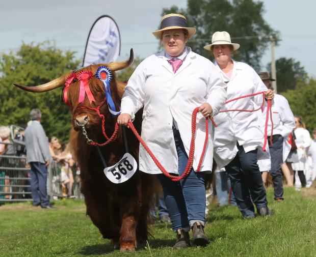 Border Counties Advertiser: Oswestry Show 2022. Grand Parade and Presentation of Cups in the Main Ring.  Picture by Phil Blagg Photography.  PB075-2022-98