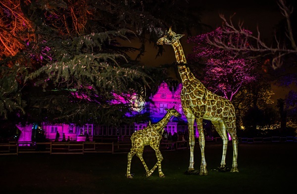 Chester Zoos The Lanterns returns this winter.