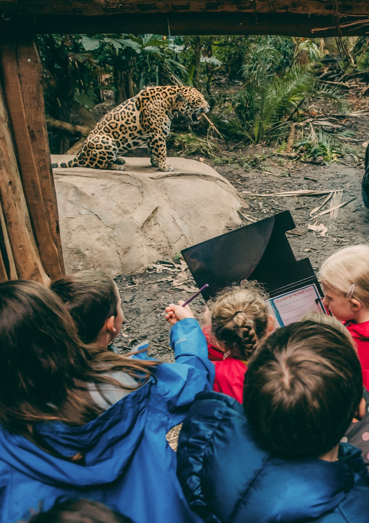 Chester Zoo has announced free tickets for children during Wednesdays planned teachers strike, which is due to impact several schools in the area.
