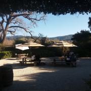 The winery tour prior to lockdown in LA.