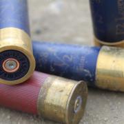 File image of shotgun cartridges Picture: PIXABAY