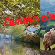 Canal walks and sublime views of Shropshire – out and about with the camera club