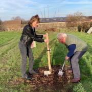 Anna Turner, Lord Lieutenant of Shropshire with Robert Bland, Deputy Lieutenant, planting trees.