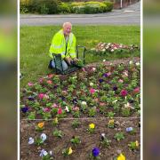 Brian Barnfield helping out with In Bloom. Pic: Oswestry Town Council.