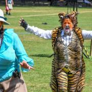 Kath Evans's terrifying tiger at the Attfield's Panto in the Park. Picture by Graham Mitchell.