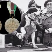 Rob the dog with fellow soldiers and his medals (inset).