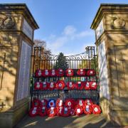 Poppies at Oswestry Cae Glas Park Memorial Gates.
