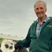 Powys farmer raises over £120,000 with charity herd