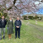 Simon Baynes MP by a blossom tree with General Manager Lizzie Champion and  Head Gardener David Lock at Chirk Castle