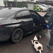 A police sniffer dog as part of Op Radar.