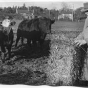 John Kynaston, Ruyton Xl Towns working at his smallholding on his 90th birthday (BCA 13 Feb 1974)