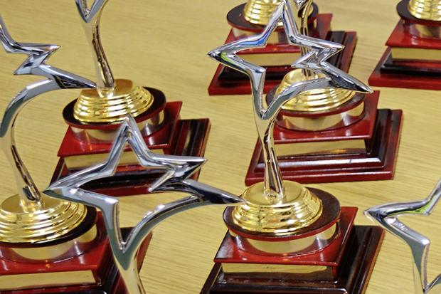 The Community and Business Award trophies
